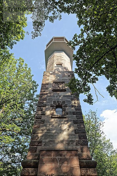 Schmausenbuckturm mit Aussichtsplattform  Lorenzer Reichswald  Nürnberg  Mittelfranken  Franken  Bayern  Deutschland  Europa