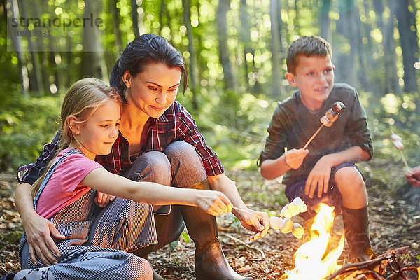 Familienbraten von Marshmallows am Lagerfeuer im Wald
