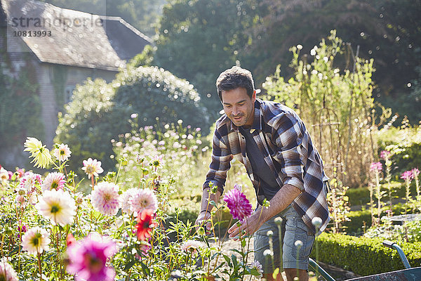 Mann beschneidet Blumen im sonnigen Garten