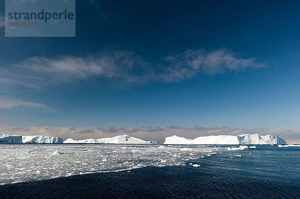 Blick auf Meereis und Eisberge  Ilulissat-Eisfjord  Disko-Bucht  Grönland