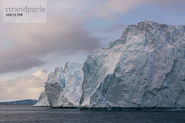 Eisberge am Ilulissat-Eisfjord  Disko-Bucht  Grönland