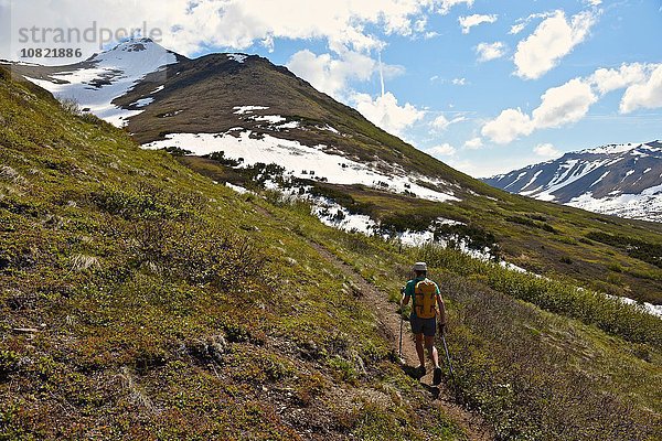 Bergsteigerin beim Bergsteigen  Rückansicht  Chugach State Park  Anchorage  Alaska  USA