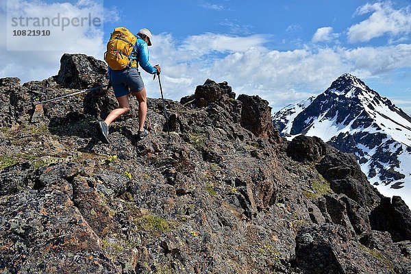 Bergsteigerin beim Bergsteigen  Rückansicht  Chugach State Park  Anchorage  Alaska  USA