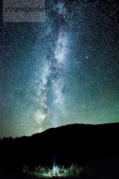 Mann blickt auf den Nachthimmel und die Milchstraße aus dem Bergwald  Penticton  British Columbia  Kanada