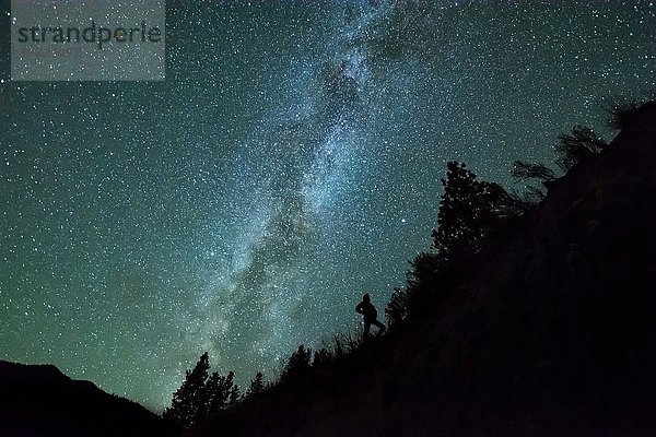 Silhouette des Menschen vor dem Nachthimmel und der Milchstraße im Bergwald  Penticton  British Columbia  Kanada