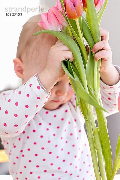 Weibliches Kleinkind hebt Tulpenstrauß an