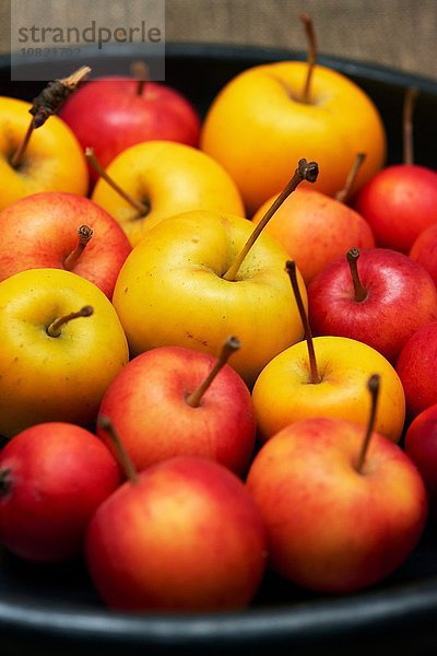 Hochwinkelansicht der Platte mit roten und gelben Äpfeln