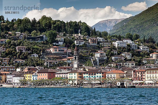 Lago Maggiore  Ascona  Tessin  Schweiz