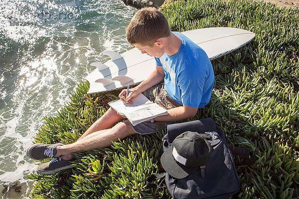 Junger Mann am Felsrand sitzend  im Buch schreibend  erhöhte Ansicht