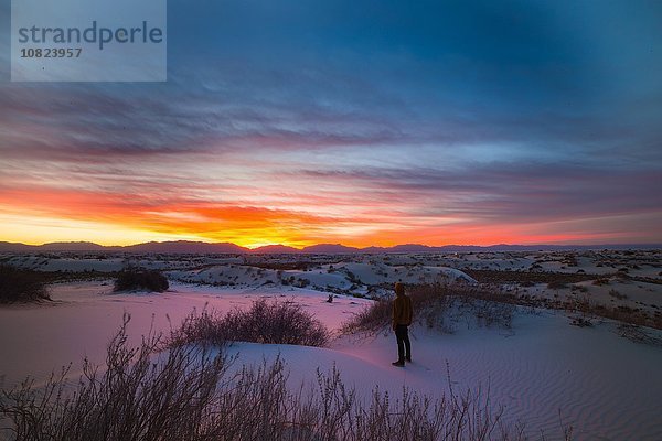 Junger Mann stehend  Sonnenuntergang beobachtend  White Sands New Mexico