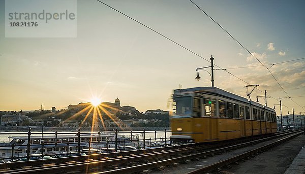 Straßenbahn bei Sonnenuntergang entlang der Donau  Ungarn  Budapest