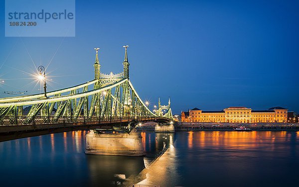 Freiheitsbrücke beleuchtet bei Nacht an der Donau  Ungarn  Budapest