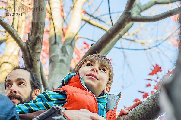 Vater und Sohn Kletterbaum