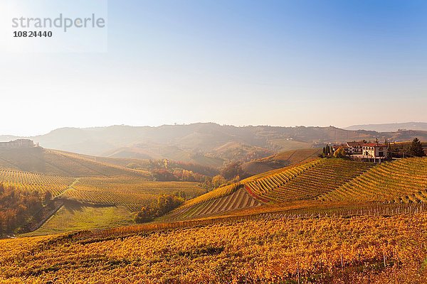 Landschaftsblick mit herbstlichen Weinbergen und Hügeldorf  Langhe  Piemont  Italien