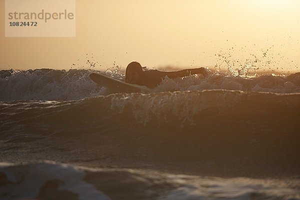 Silhouette eines jungen Surfer im Meer  Devon  England  UK