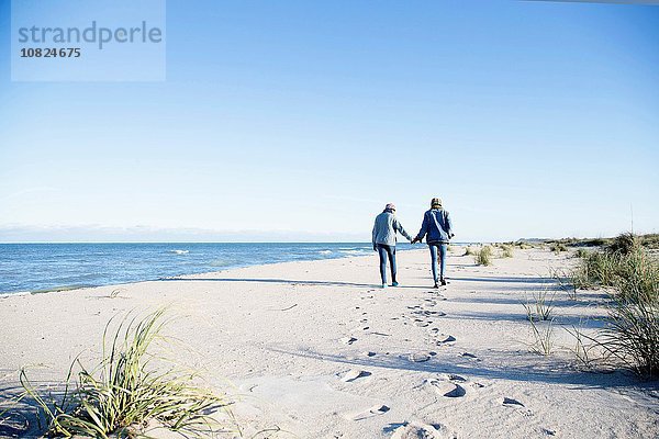 Zwei junge Frauen  die am Strand entlanggehen  Händchen haltend  Rückansicht