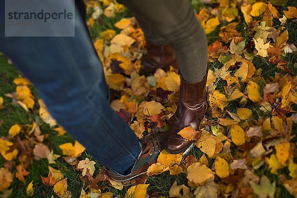 Beine und Füße eines erwachsenen Paares  das auf Herbstblättern steht.