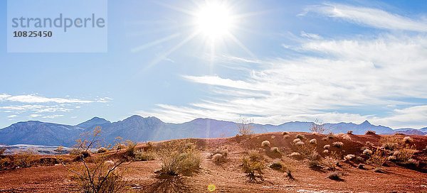 Panoramabild der Bergkette  Valley of Fire State Park  Nevada  USA