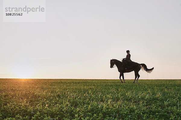 Silhouettiertes Dressurpferd und Reitertraining im Gelände bei Sonnenuntergang