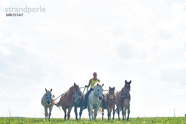 Mittlere erwachsene Frau beim Reiten und Führen von sechs Pferden im Gelände