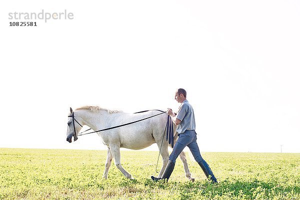 Mann trainiert weißes Pferd im Feld