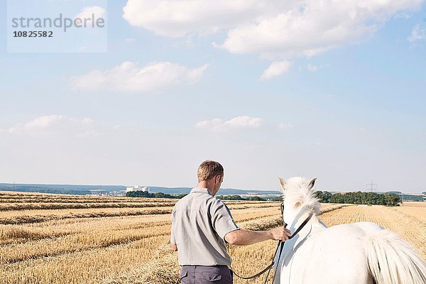 Rückansicht des Mannes beim Training des weißen Pferdes im Feld