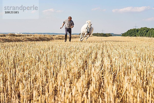 Mann trainiert galoppierendes weißes Pferd im Feld