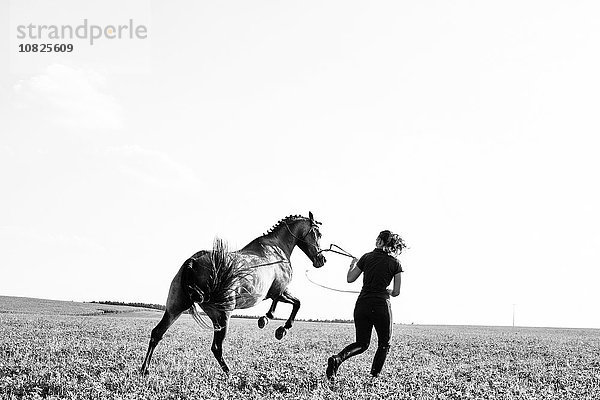 Schwarzweißbild einer Frau  die das Aufzuchtpferd auf dem Feld trainiert.