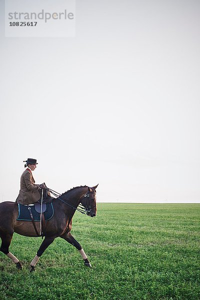 Frau reitet Dressurpferd im Feld