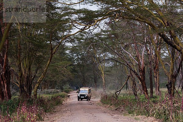 Safari-Fahrzeug  Lake Nakuru Nationalpark  Kenia