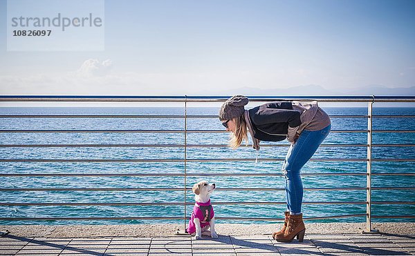 Durchgehende Seitenansicht der jungen Frau durch Geländer vor dem Ozean  die sich über den Hund beugen.