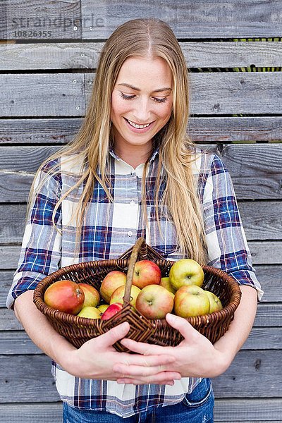 Mittlere erwachsene Frau hält einen Korb mit einheimischen Äpfeln.