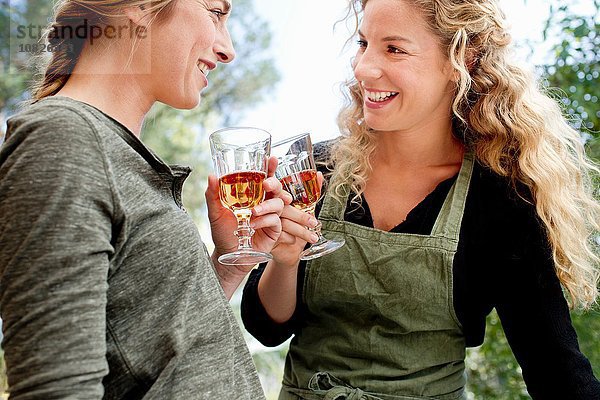 Zwei Frauen toasten mit Weingläsern