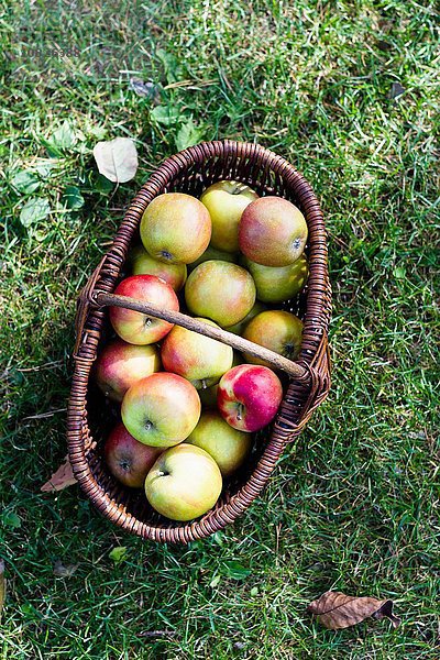 Frische hausgemachte Äpfel im Korb  hoher Winkel