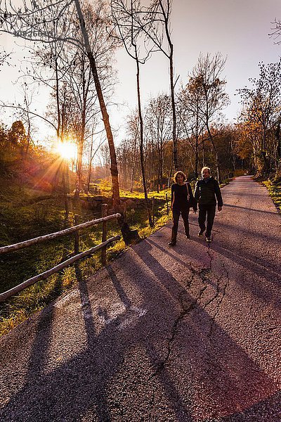 Seniorenpaar auf der sonnigen Landstraße im Herbst  Lombardei  Italien