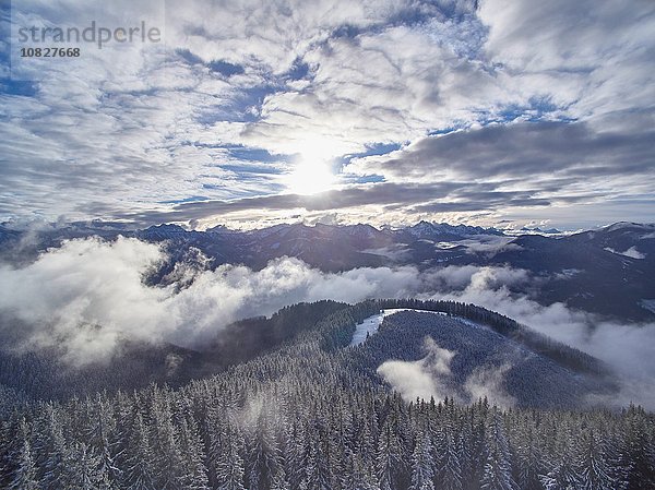 Hochwinkelansicht der nebligen Bergwaldlandschaft  Ammergauer Alpen  Oberammergau  Bayern  Deutschland