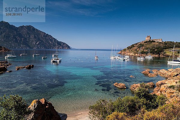Erhöhte Ansicht der in der Bucht verankerten Yachten  Girolata  Korsika  Frankreich
