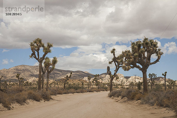 Leere Straße in ländlicher Wüstenlandschaft