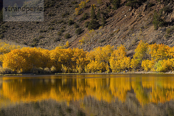 Herbstbäume und Berghang  der sich im See spiegelt