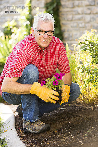 Kaukasischer Mann pflanzt Blumen im Garten