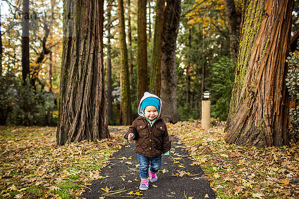 Kaukasisches kleines Mädchen  das im Herbst im Park spazieren geht