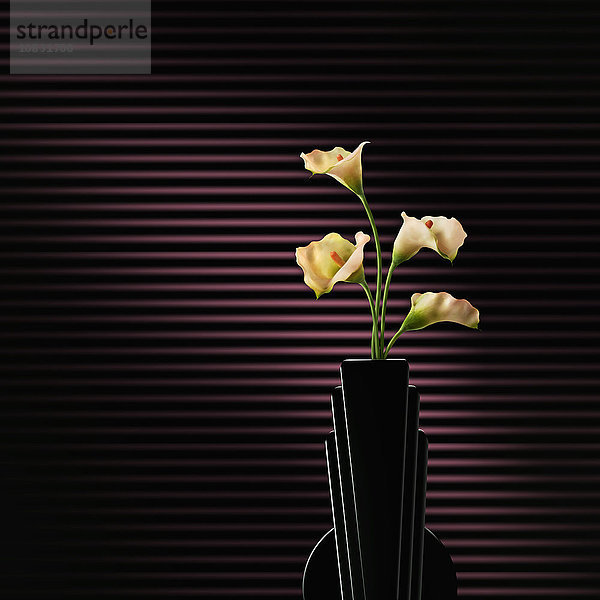 Blumen blühen in der modernen Vase