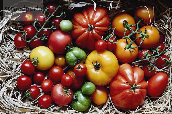 Tomatenstilleben mit verschiedenen Tomatesorten