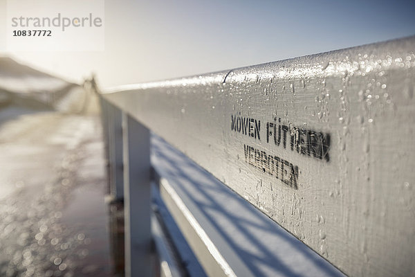 Geländer mit Schrift Möwen füttern verboten   Westerland  Sylt  Schleswig-Holstein  Deutschland  Europa