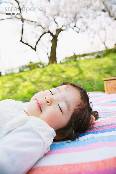 Japanisches Mädchen ruht sich unter den Kirschblüten aus