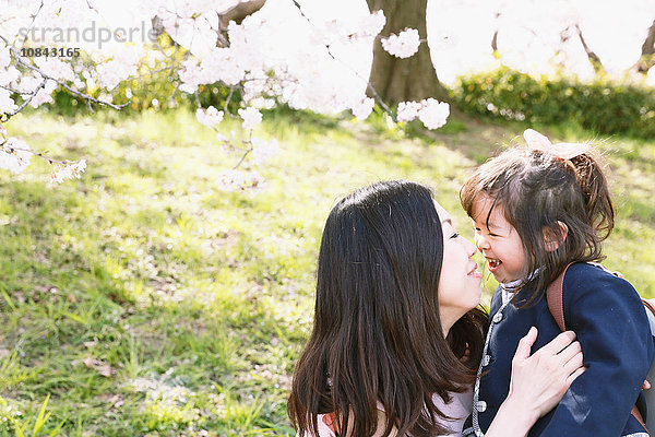 Japanische Mutter und Tochter erfreuen sich an den Kirschblüten