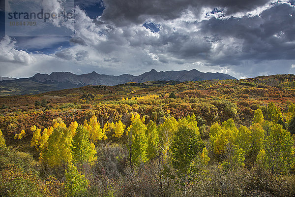 Wolken über gelben Herbstbäumen im Tal unter den Bergen  Dallas Divide  Colorado  USA