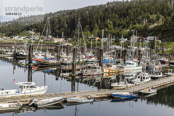 Queen Charlotte City Harbor  Bearskin Bay  Haida Gwaii (Queen Charlotte Islands)  British Columbia  Kanada  Nordamerika
