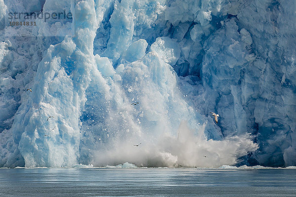 Abgekalbte Eisberge vom South Sawyer Glacier in der Tracy Arm-Fords Terror Wilderness Area im Südosten Alaskas  Vereinigte Staaten von Amerika  Nordamerika