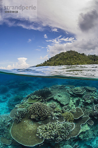 Halb oben und halb unten Ansicht des Korallenriffs auf der Insel Pulau Setaih  Natuna-Archipel  Indonesien  Südostasien  Asien